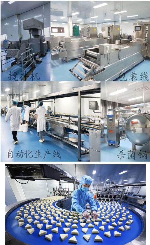 疫情不阻扶貧路 森樂(lè)食品保業(yè)增收與文物保護(hù)工程設(shè)計(jì)